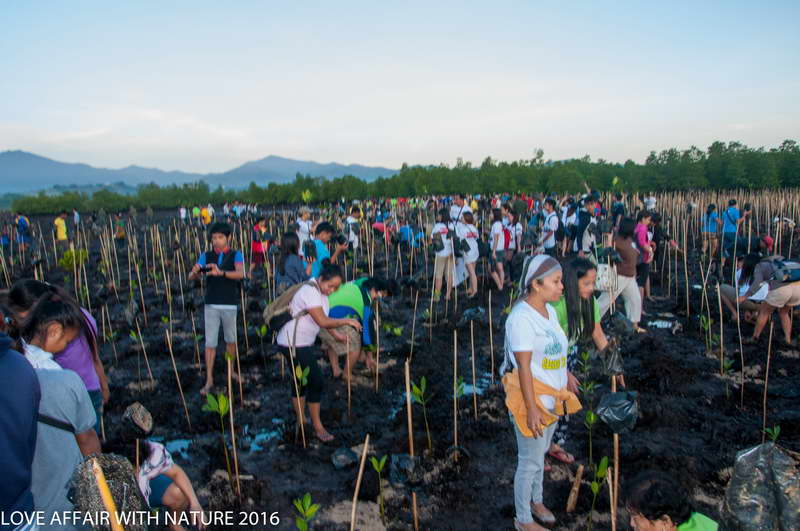 February 14 &ndash; Love Affair With Nature