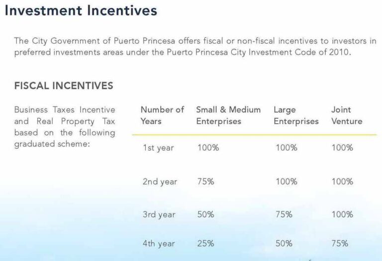 Investment Incentives