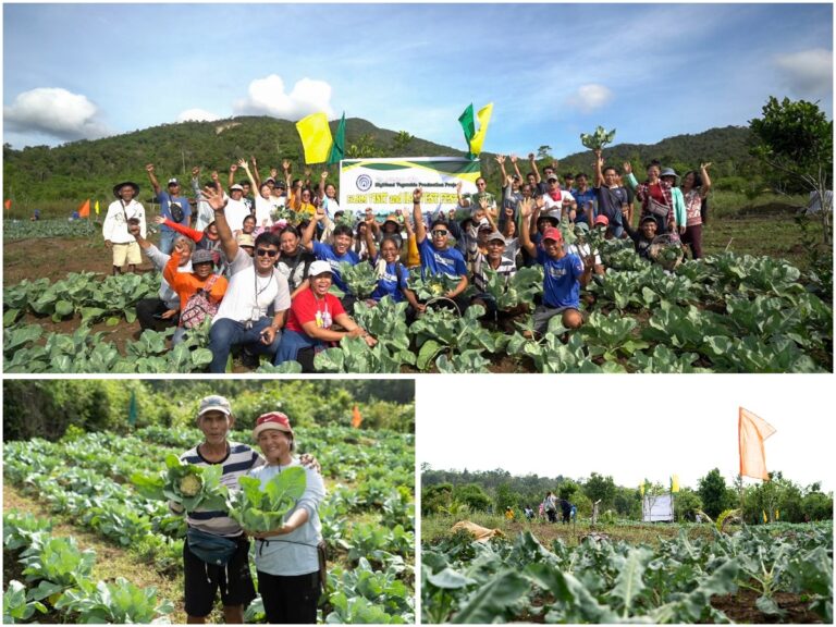 BROCCOLI & CAULIFLOWER HARVEST FESTIVAL SA INAGAWAN-SUB, BUNGA NG TULONG AT TIWALA