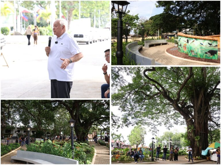 CONSTRUCTION OF PRINCESS EULALIA PARK ANNEX