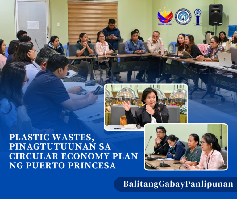 𝐏𝐔𝐄𝐑𝐓𝐎 𝐏𝐑𝐈𝐍𝐂𝐄𝐒𝐀, 𝐊𝐈𝐍𝐈𝐋𝐀𝐋𝐀 𝐍𝐆 𝐃𝐄𝐏𝐀𝐑𝐓𝐌𝐄𝐍𝐓 𝐎𝐅 𝐁𝐔𝐃𝐆𝐄𝐓 𝐀𝐍𝐃 𝐌𝐀𝐍𝐀𝐆𝐄𝐌𝐄𝐍𝐓 (𝐃𝐁𝐌) 𝐌𝐈𝐌𝐀𝐑𝐎𝐏𝐀 𝐃𝐀𝐇𝐈𝐋 𝐒𝐀 𝐌𝐀𝐀𝐆𝐀𝐍𝐆 𝐏𝐀𝐆𝐒𝐔𝐒𝐔𝐌𝐈𝐓𝐄 𝐀𝐓 𝐏𝐀𝐆-𝐀𝐏𝐑𝐔𝐁𝐀 𝐍𝐆 𝐌𝐆𝐀 𝐌𝐀𝐇𝐀𝐋𝐀𝐆𝐀𝐍𝐆 𝐅𝐈𝐍𝐀𝐍𝐂𝐈𝐀𝐋 𝐑𝐄𝐏𝐎𝐑𝐓𝐒