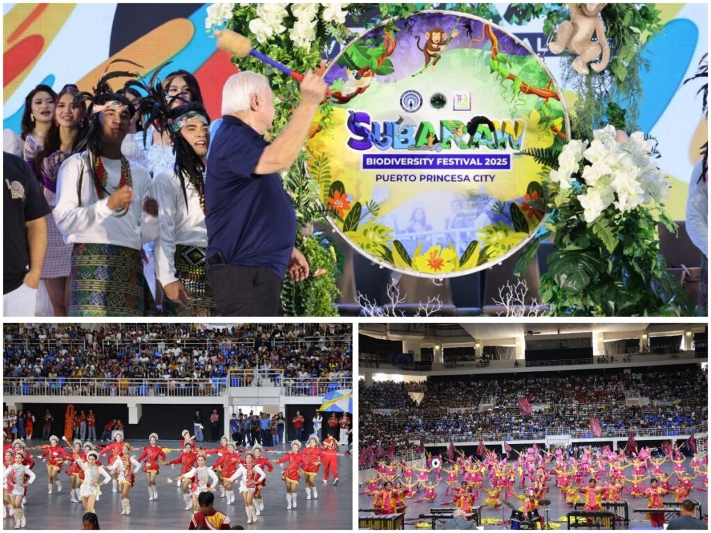 SUBARAW BIODIVERSITY FESTIVAL GRAND OPENING & DRUM AND LYRE COMPETITION (SECONDARY CATEGORY)