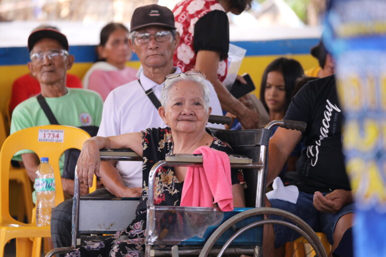 SENIOR CITIZEN ASSISTANCE PROGRAM